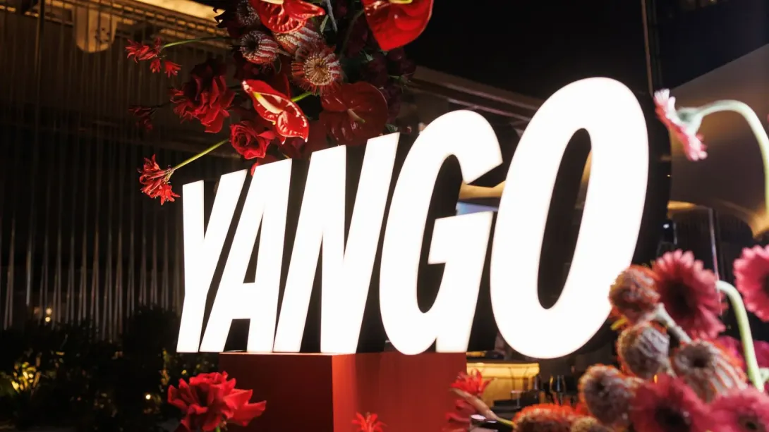 Yango Birthday